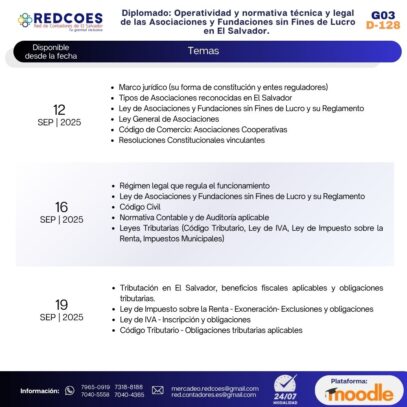 216-2025 I Diplomado  Operatividad y normativa técnica y legal de las Asociaciones y Fundaciones sin Fines de Lucro en El Salvador. G-3 - Imagen 3