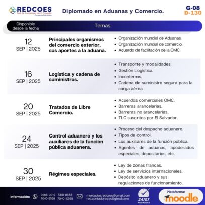 219-2025  | Diplomado en Aduanas y Comercio G.8 - Imagen 2