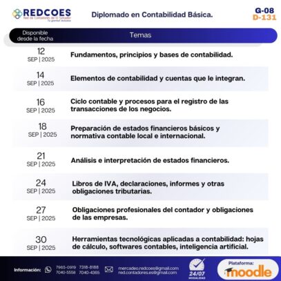220-2025 I Diplomado en  Contabilidad Básica G.8 - Imagen 2