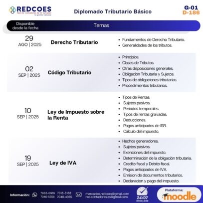 213-2025 I Diplomado Tributario Básico - Imagen 2