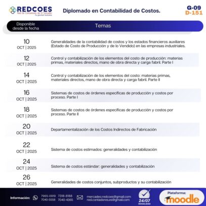252-2025 I Diplomado en Contabilidad de Costos Grupo 9 - Imagen 2