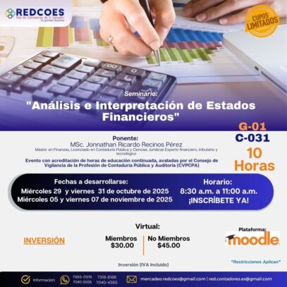 267-2025 I Seminario Análisis e Interpretación de Estados Financieros