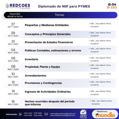271-2025 I Diplomado de NIIF para PYMES  G-4 - Imagen 2