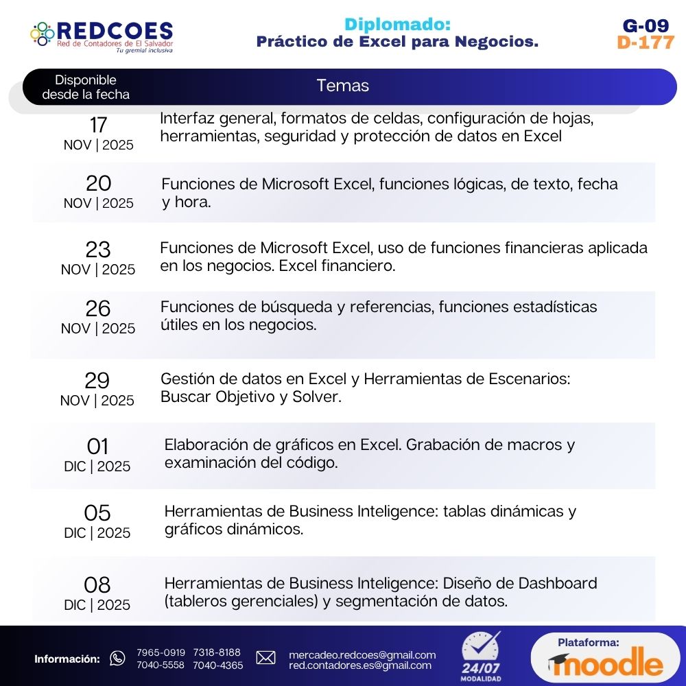 292-2025 I Diplomado Práctico de Excel para Negocios G-9 - Imagen 2