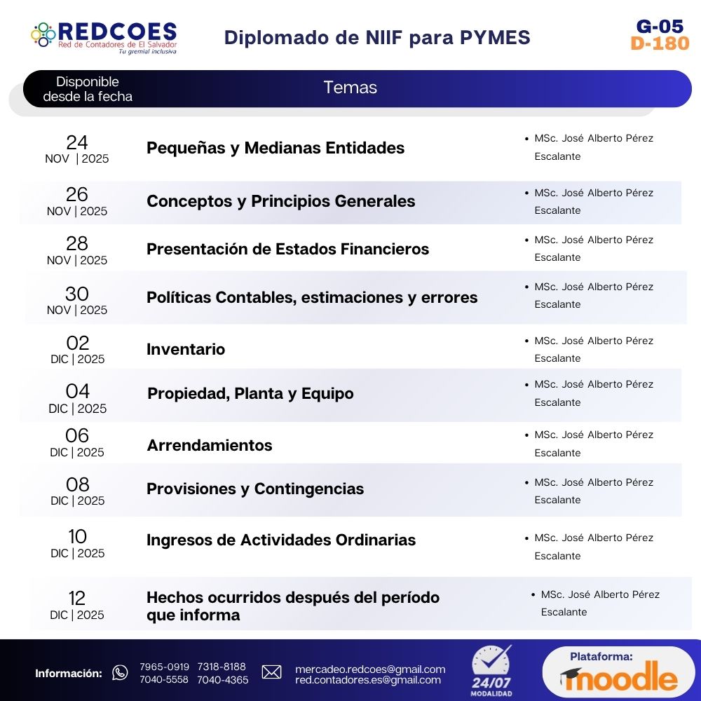 296-2025 I Diplomado de NIIF para PYMES G-5 - Imagen 2