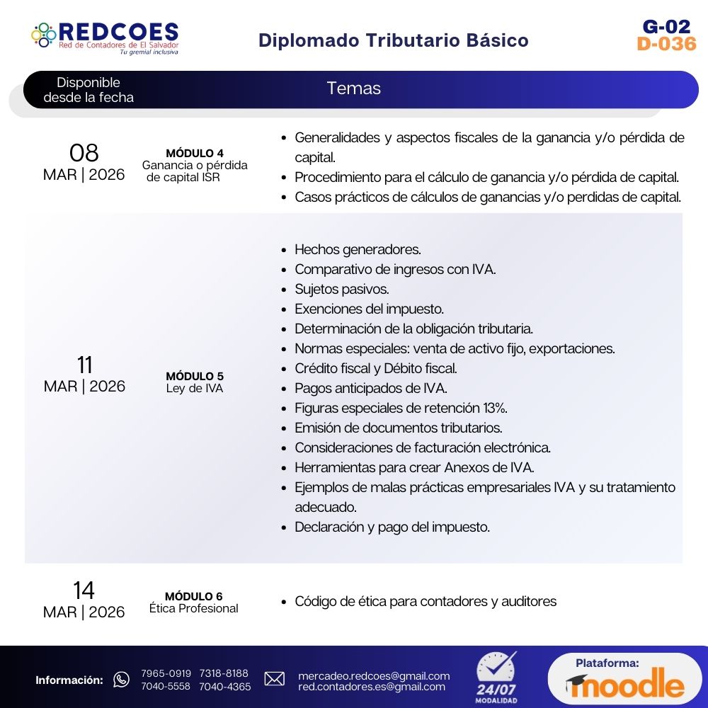 046-2026 I Diplomado Tributario Básico Grupo 2 - Imagen 3