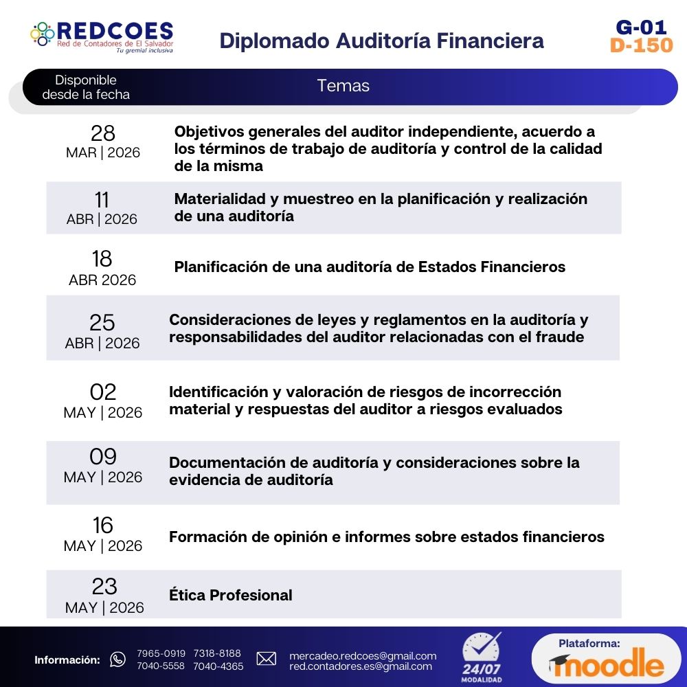 028-2026 I Diplomado Auditoria Financiera - Imagen 2
