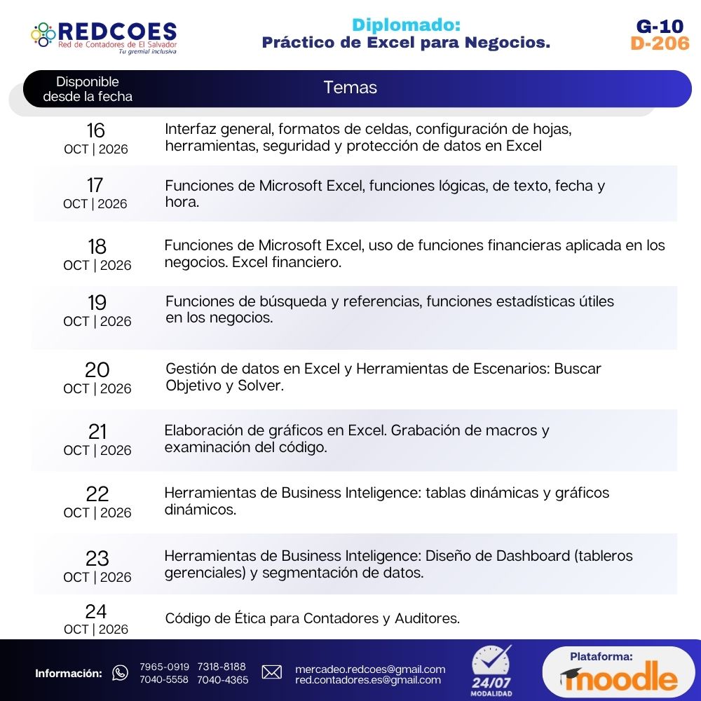 222-2026 | Diplomado Práctico de Excel para Negocios | G-09 - Imagen 2