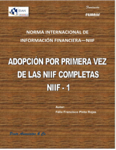 NIIF - 1